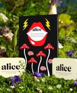 Alice Brainstorm Chocolate