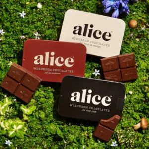 Buy Alice Chocolates Online