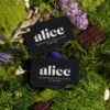 Alice Nightcap Chocolate