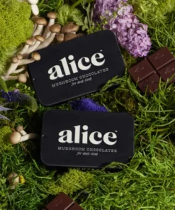 Alice Nightcap Chocolate