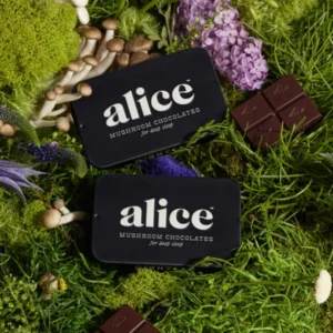 Mushroom Chocolate Bars