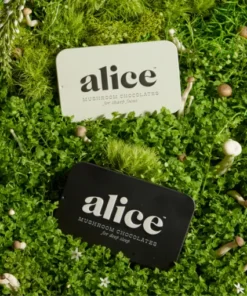 Alice The Duo Bundle