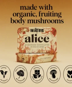 The last of us x Alice Chocolate
