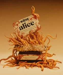 The last of us x Alice Chocolate